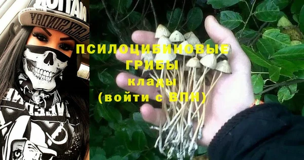 трава Касимов