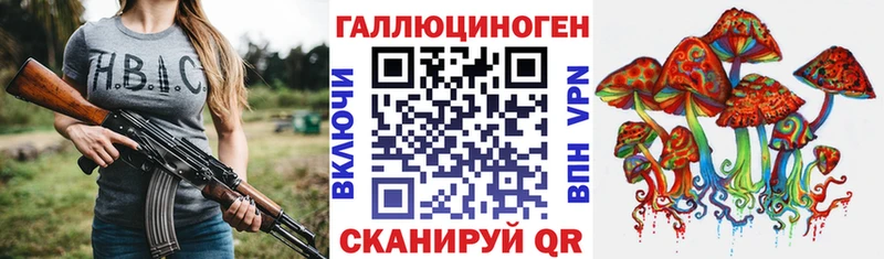 Купить закладки  Кувшиново  Псилоцибиновые грибы Psilocybe 